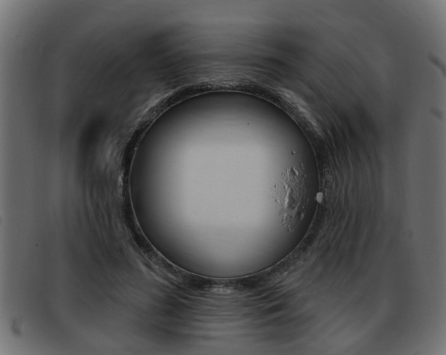 X0000093420596200710120858