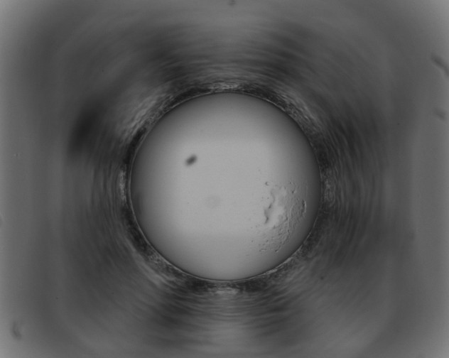 X0000093420598200710120858