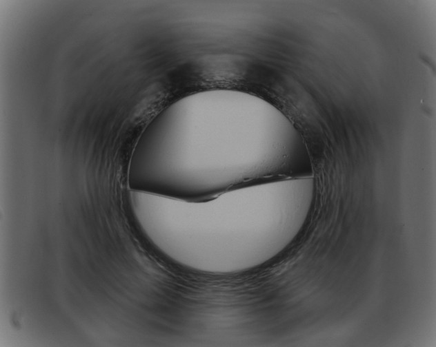 X0000093420599200710120858