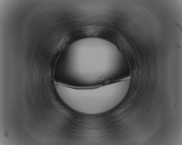 X0000093420600200710120858
