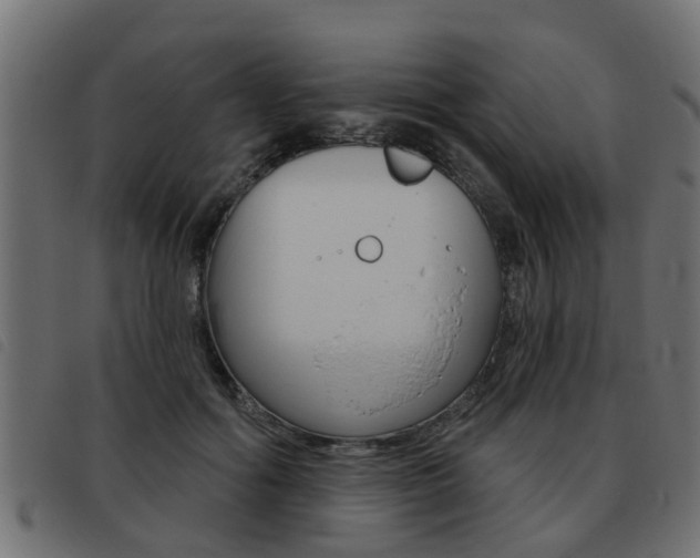 X0000093420602200710120858