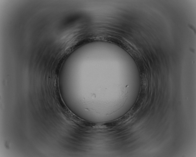 X0000093420603200710120858