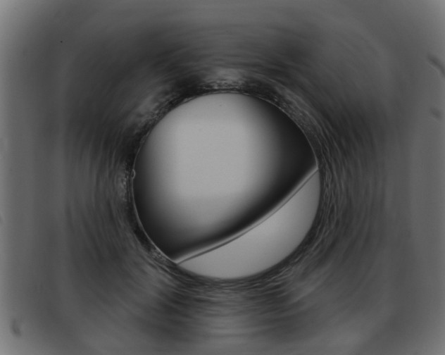 X0000093420604200710120858