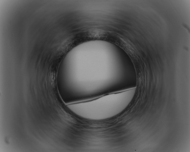 X0000093420605200710120858