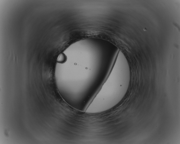 X0000093420608200710120858
