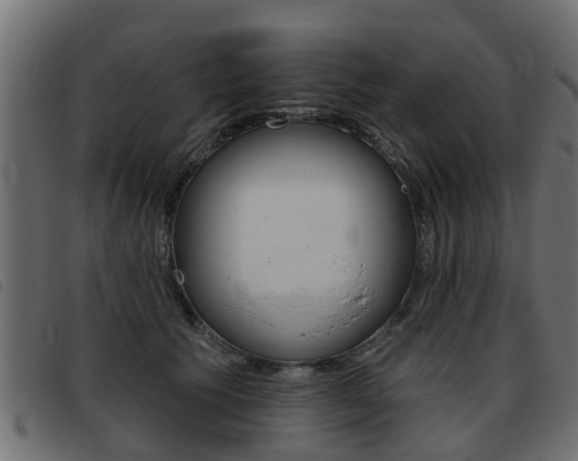 X0000093420609200710120858