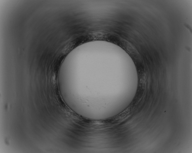 X0000093420610200710120858