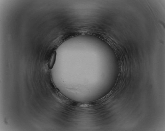 X0000093420611200710120858
