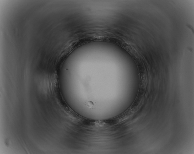 X0000093420612200710120858