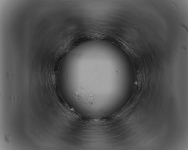 X0000093420613200710120858