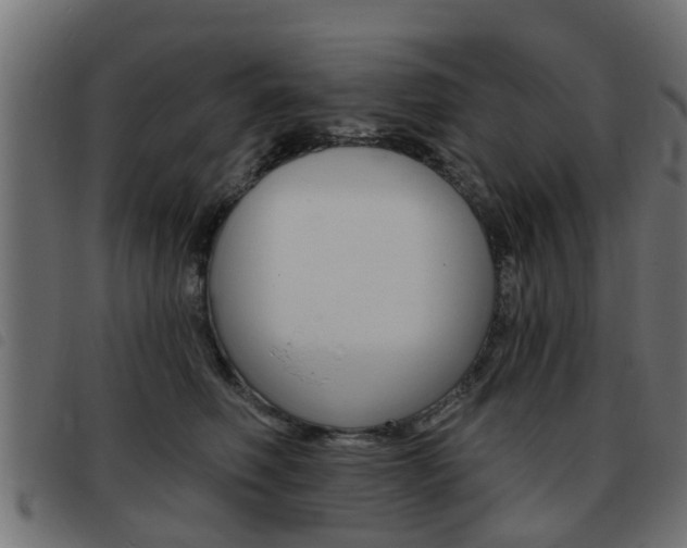 X0000093420614200710120858
