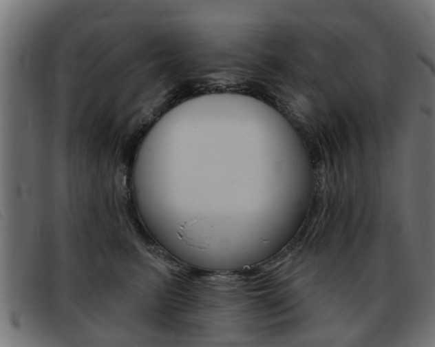 X0000093420615200710120858
