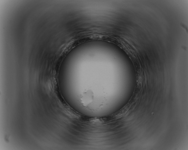 X0000093420616200710120858