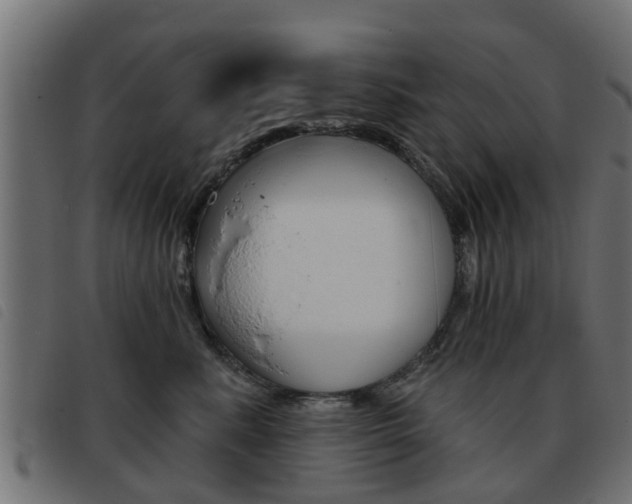 X0000093420619200710120858