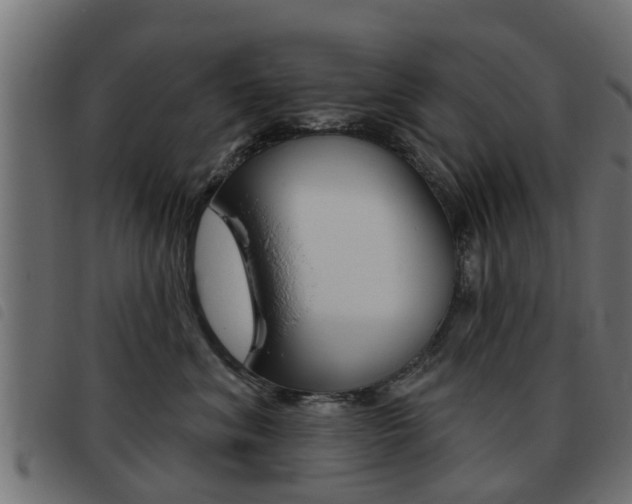 X0000093420620200710120858