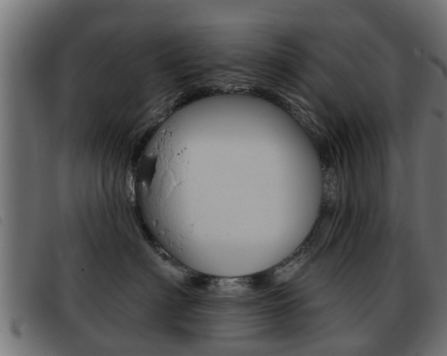 X0000093420622200710120858