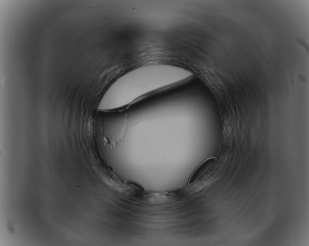 X0000093420623200710120858