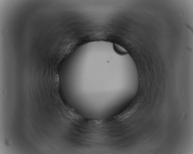 X0000093420624200710120858
