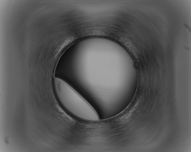 X0000093420625200710120857