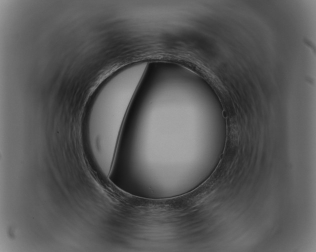 X0000093420626200710120857