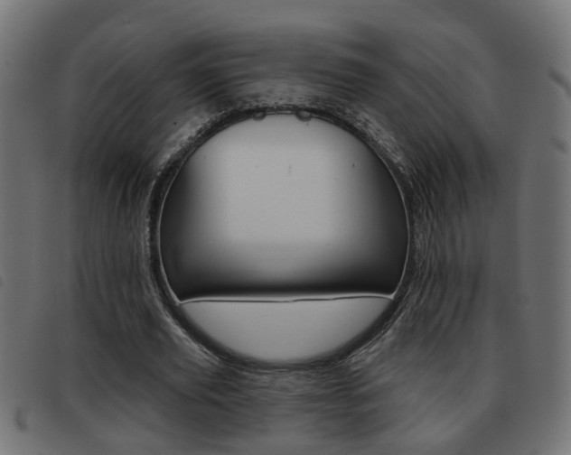 X0000093420629200710120857