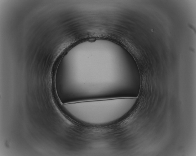 X0000093420630200710120857
