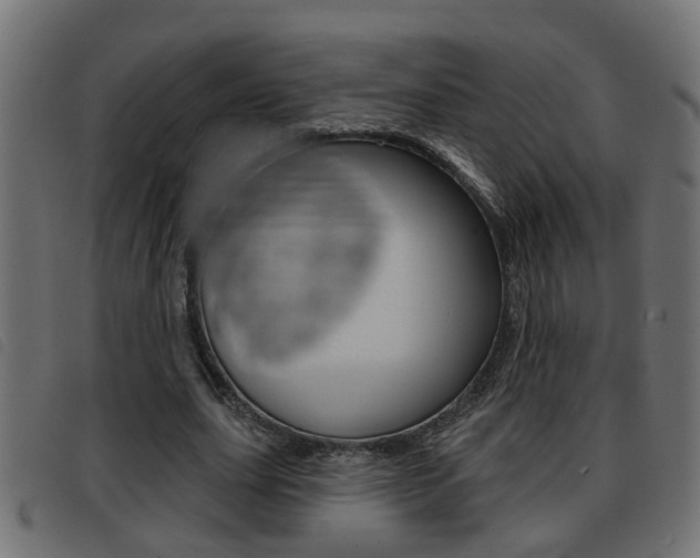 X0000093420631200710120857
