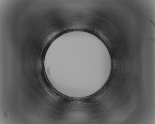 X0000093420632200710120857