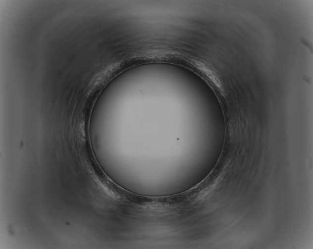 X0000093420633200710120857