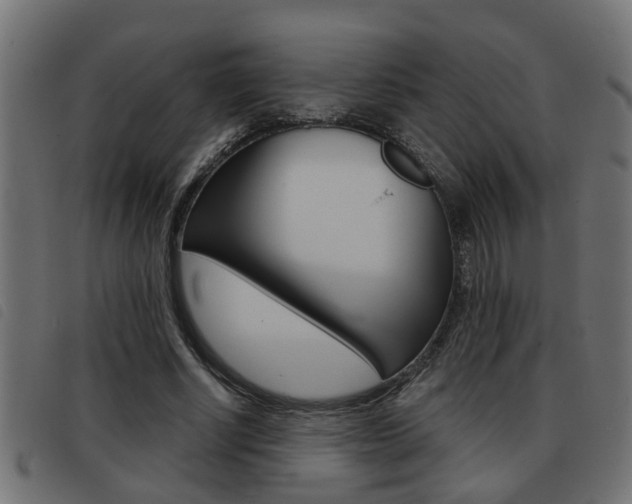 X0000093420634200710120857