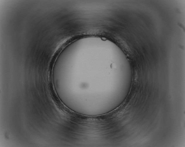 X0000093420636200710120857