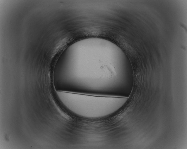 X0000093420638200710120857