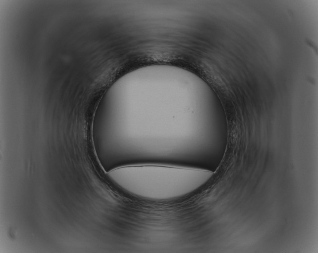 X0000093420639200710120857