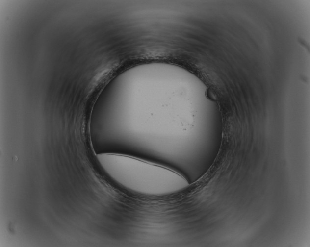 X0000093420640200710120857