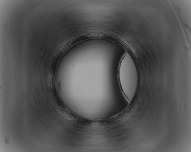 X0000093420641200710120857