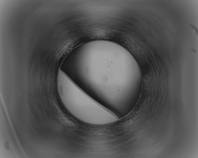 X0000093420642200710120857