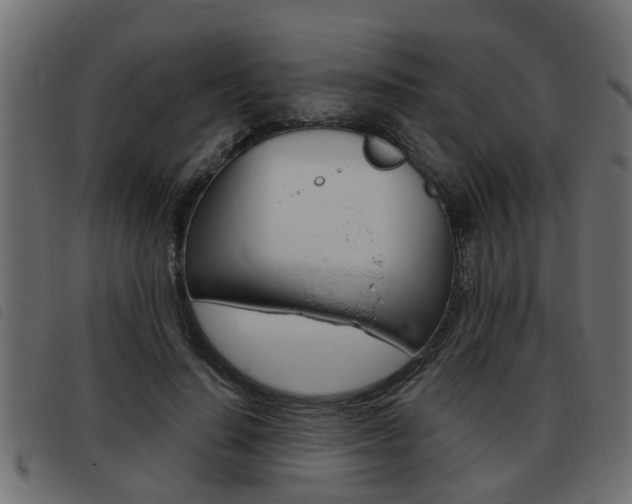 X0000093420644200710120857