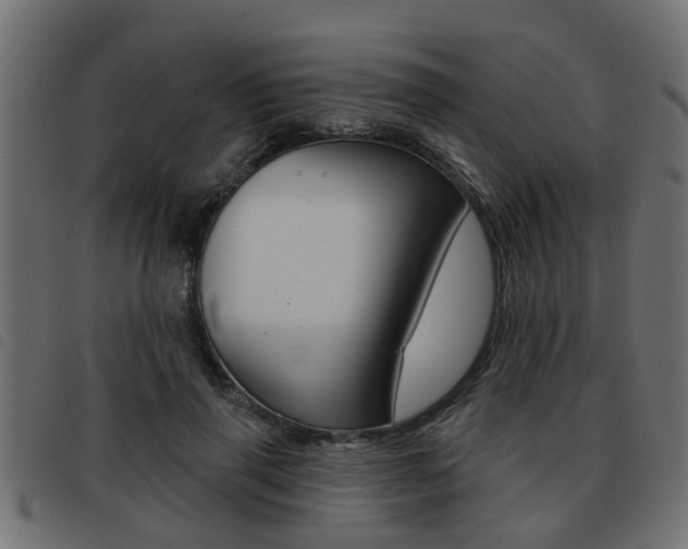 X0000093420645200710120857