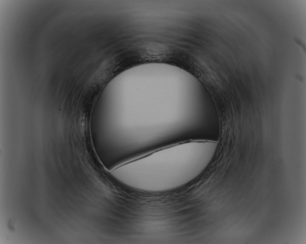 X0000093420647200710120857