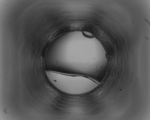 X0000093420649200710120857