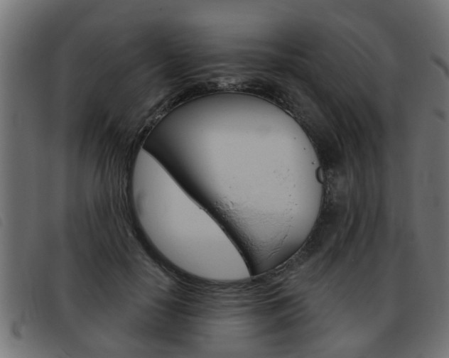 X0000093420650200710120857
