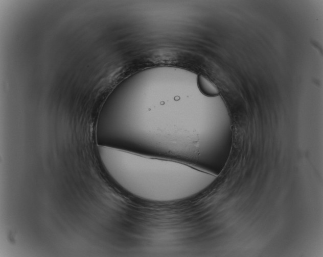 X0000093420652200710120857
