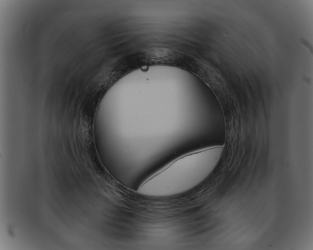 X0000093420653200710120857