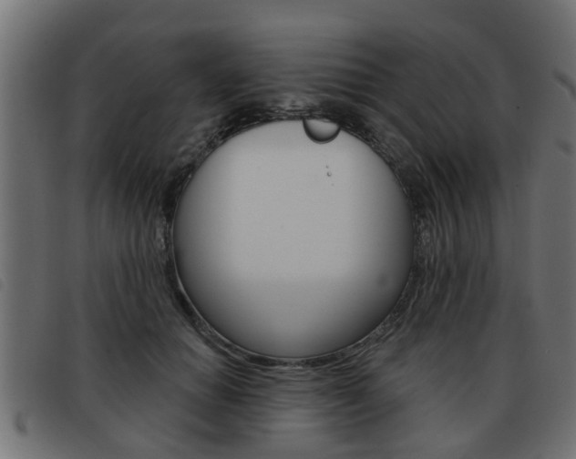 X0000093420654200710120857