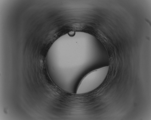 X0000093420655200710120858