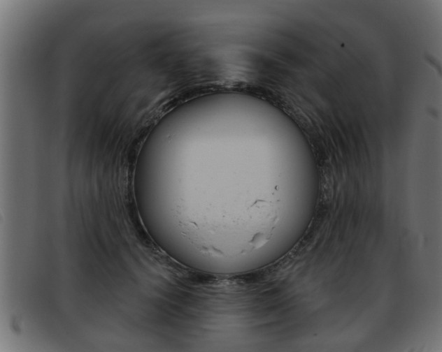 X0000093420656200710120858
