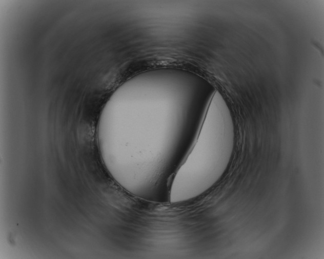 X0000093420657200710120858