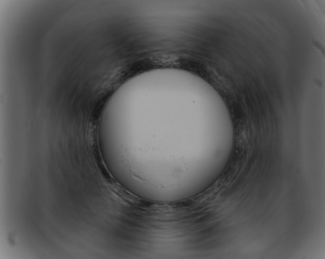 X0000093420658200710120858