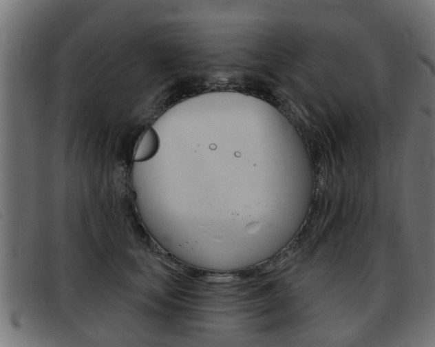 X0000093420659200710120858