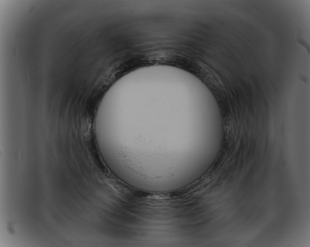 X0000093420660200710120858